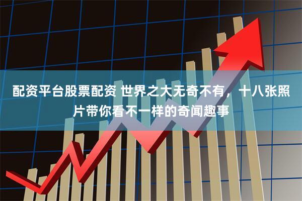 配资平台股票配资 世界之大无奇不有，十八张照片带你看不一样的奇闻趣事